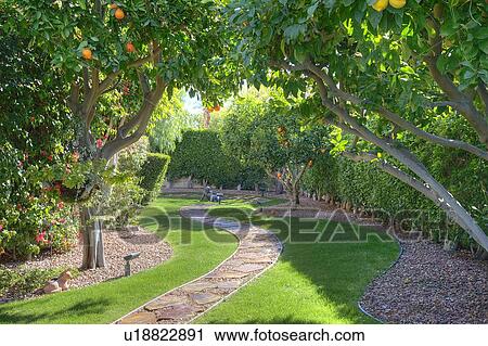Fruit Trees Plantation In Manor House Garden Stock Image