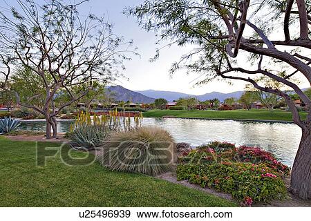 Stock Photo - Garden near pond. Fotosearch