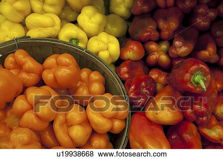Multicolored bell peppers on display in market View Large Photo Image Stock Photo - Multicolored bell peppers on display in market. Fotosearch