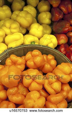 Stock Image - Multicolored capsicum on display in market. Fotosearch