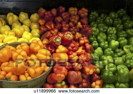 View of multicolored bell peppers on display in market View Large Photo Image Stock Photograph - View of multicolored bell peppers on display in market. Fotosearch