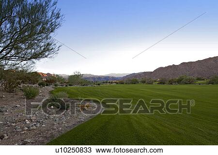 View of private lawn yard View Large Photo Image Stock Image - View of private lawn yard. Fotosearch