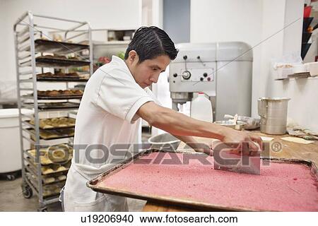 Young male baker cutting pastry on tray in bakery View Large Photo Image Stock Image - Young male baker cutting pastry on tray in bakery. Fotosearch
