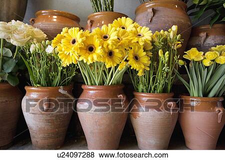 Stock Photo - Close-up of bunch of sunflowers in ceramic vase. Fotosearch
