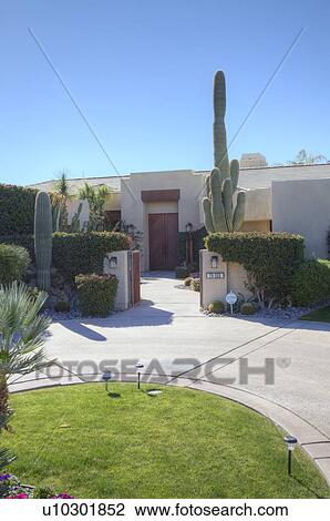 Entrance of luxury villa with tall cactus View Large Photo Image Stock Image - Entrance of luxury villa with tall cactus. Fotosearch