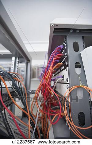 Stock Photo - Multicolored data cable connected to computer network in server room. Fotosearch