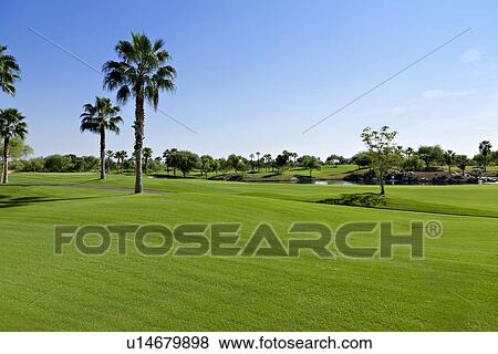 Scenic view of green landscape View Large Photo Image Stock Photo - Scenic view of green landscape. Fotosearch