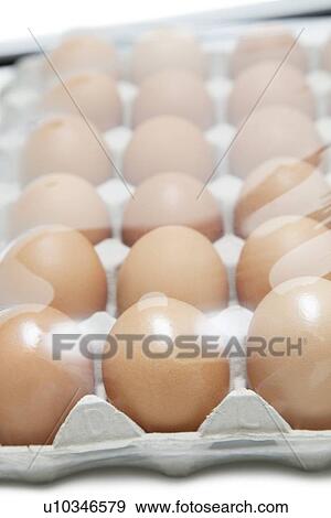 Stock Photo - Brown eggs arranged in carton with plastic covering it. Fotosearch