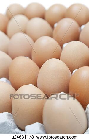 Close-up of brown eggs arranged in carton View Large Photo Image Stock Photo - Close-up of brown eggs arranged in carton. Fotosearch