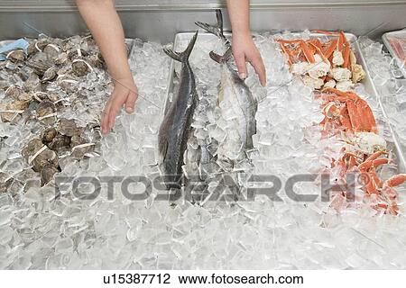 Stock Image - Close-up of mixed fish in ice at market. Fotosearch
