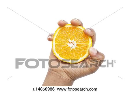 Cropped shot of a hand holding sliced pulpy orange against white background View Large Photo Image Stock Photograph - Cropped shot of a hand holding sliced pulpy orange against white background. Fotosearch