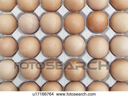 Picture - Full-Frame shot of brown eggs arranged in carton. Fotosearch