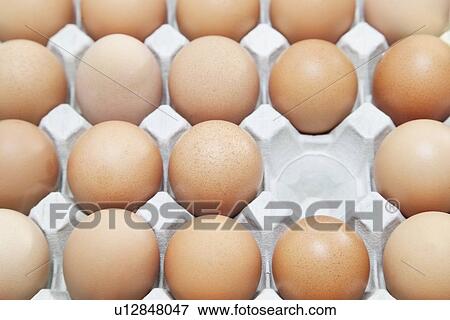 Full-frame shot of brown eggs in carton with empty block View Large Photo Image Stock Photo - Full-frame shot of brown eggs in carton with empty block. Fotosearch