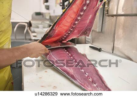 Stock Photo - Man cutting fish with kitchen knife. Fotosearch