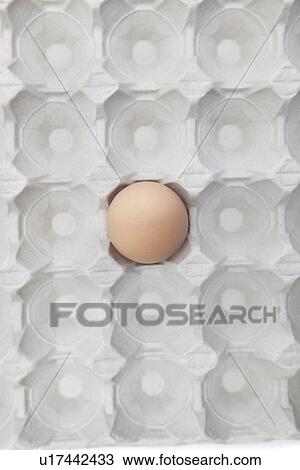 Stock Image - One brown egg in an empty carton. Fotosearch