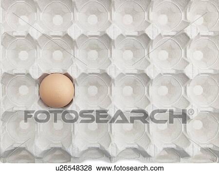 Stock Photo - One brown egg in an empty carton. Fotosearch