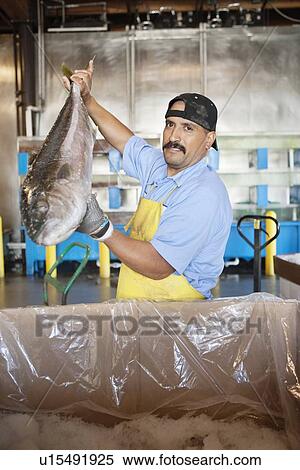 Portrait of mature fishmonger holding salmon fish View Large Photo Image Stock Photography - Portrait of mature fishmonger holding salmon fish. Fotosearch