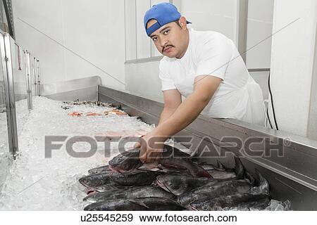 Portrait of young fishmonger arranging fish in ice at market View Large Photo Image Stock Photo - Portrait of young fishmonger arranging fish in ice at market. Fotosearch