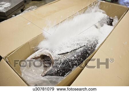 Stock Photo - Raw fish covered with sea salt in cardboard box. Fotosearch