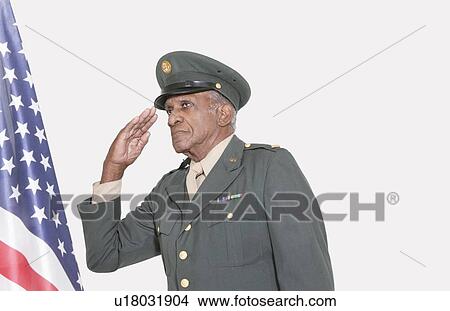 Senior male US military officer saluting American flag over gray background View Large Photo Image Picture - Senior male US military officer saluting American flag over gray background. Fotosearch