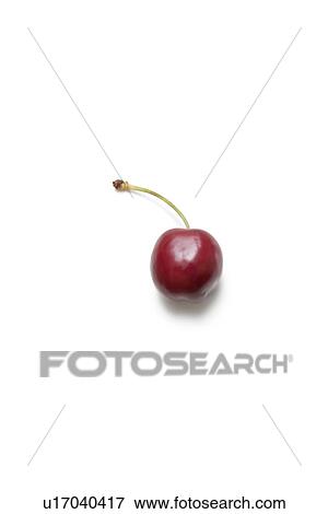 Single cherry against white background View Large Photo Image Stock Photo - Single cherry against white background. Fotosearch