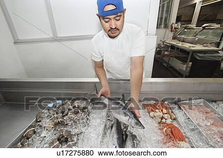 Stock Image - Young fishmonger holding up mackerel amidst mixed fish on ice at fish market. Fotosearch