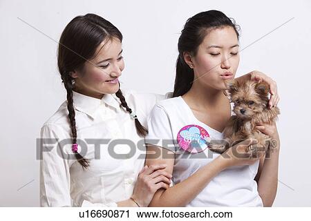 Young female friends holding a small puppy against white background View Large Photo Image Stock Image - Young female friends holding a small puppy against white background. Fotosearch
