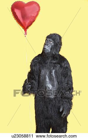 Stock Image - Young man dressed in gorilla costume looking at heart shaped balloon standing over yellow background. Fotosearch