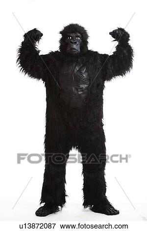 Young man in a gorilla costume flexing muscles against white background View Large Photo Image Stock Photo - Young man in a gorilla costume flexing muscles against white background. Fotosearch
