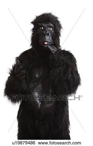 Young man in a gorilla costume sticking out his tongue against white background View Large Photo Image Stock Photograph - Young man in a gorilla costume sticking out his tongue against white background. Fotosearch