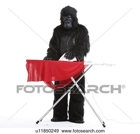 Young man in gorilla costume ironing red cloth against white background View Large Photo Image Stock Photo - Young man in gorilla costume ironing red cloth against white background. Fotosearch