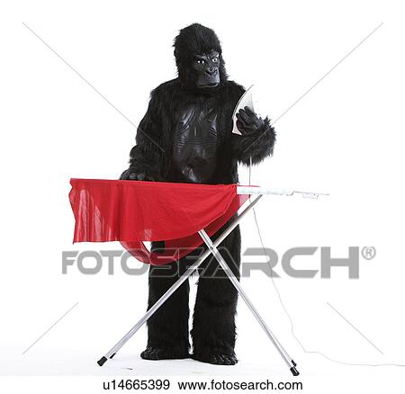 Stock Photo - Young man in gorilla costume ironing red cloth against white background. Fotosearch