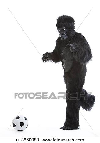 Stock Image - Young man in gorilla costume kicking soccer ball against white background. Fotosearch