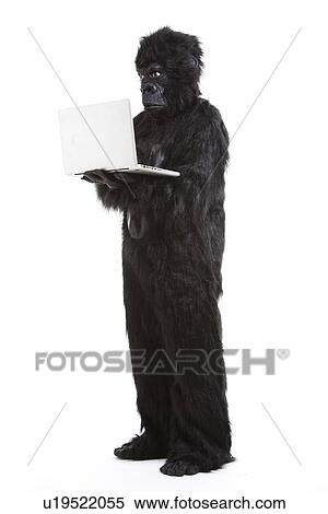 Young man in gorilla costume using laptop against white background View Large Photo Image Stock Photography - Young man in gorilla costume using laptop against white background. Fotosearch