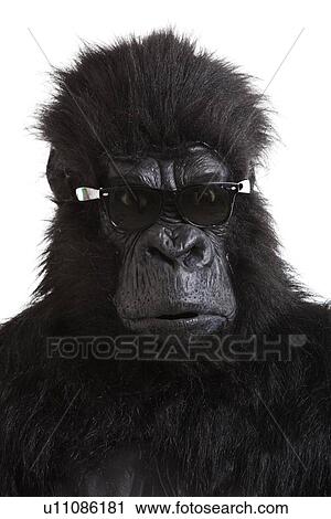 Young man in gorilla costume wearing sunglasses against white background View Large Photo Image Stock Image - Young man in gorilla costume wearing sunglasses against white background. Fotosearch