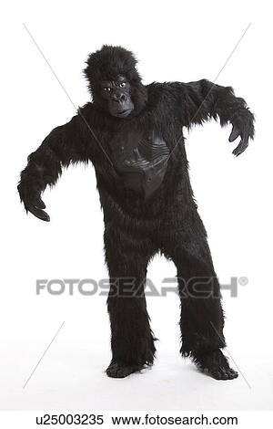 Young man wearing a gorilla costume against white background View Large Photo Image Stock Photography - Young man wearing a gorilla costume against white background. Fotosearch