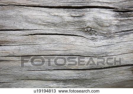 Full frame shot of wood View Large Photo Image Stock Image - Full frame shot of wood. Fotosearch