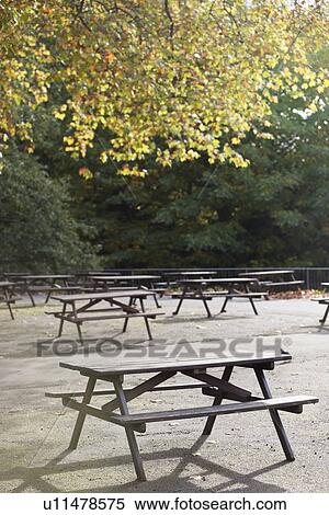 Picnic tables in park View Large Photo Image Stock Photography - Picnic tables in park. Fotosearch