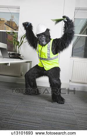 Stock Image - Angry male engineer in gorilla costume and safety wear at office. Fotosearch