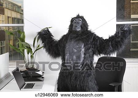 Angry young man in gorilla costume looking up at office View Large Photo Image Stock Photo - Angry young man in gorilla costume looking up at office. Fotosearch