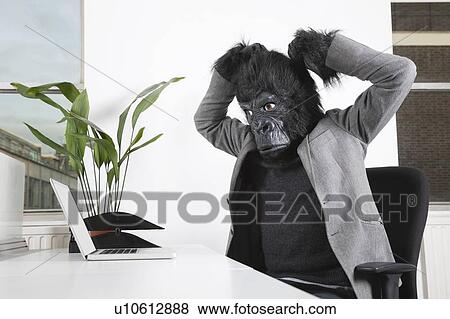 Angry young man in gorilla mask looking at laptop at office View Large Photo Image Stock Photo - Angry young man in gorilla mask looking at laptop at office. Fotosearch