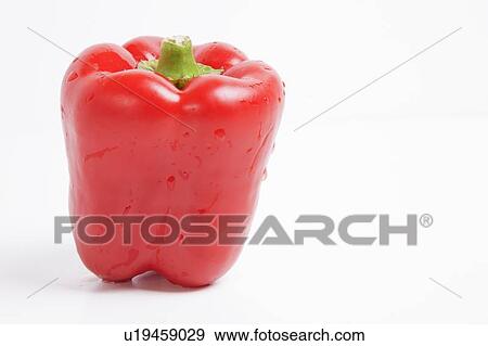 Close-up of fresh red bell pepper over white background View Large Photo Image Stock Photo - Close-up of fresh red bell pepper over white background. Fotosearch