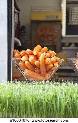 Close-up of grass with container full of carrots View Large Photo Image Stock Image - Close-up of grass with container full of carrots. Fotosearch