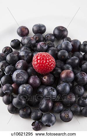 Stock Photography - Close-up of raspberry over blueberries against white background. Fotosearch