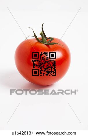 Close-up of tomato with QR bar code over white background View Large Photo Image Stock Photo - Close-up of tomato with QR bar code over white background. Fotosearch