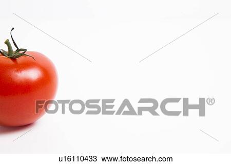 Cropped shot of tomato over white background View Large Photo Image Stock Image - Cropped shot of tomato over white background. Fotosearch