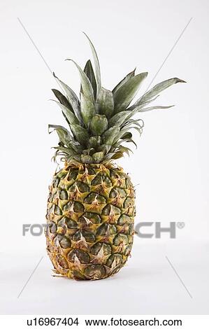 Picture - Pineapple over white background. Fotosearch