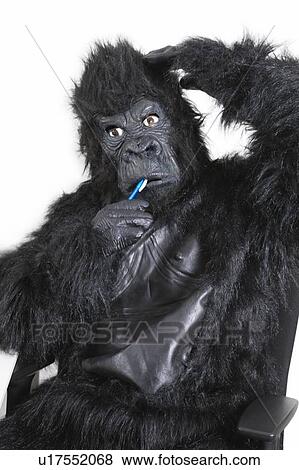 Portrait of young man in gorilla costume brushing teeth against white background View Large Photo Image Stock Photo - Portrait of young man in gorilla costume brushing teeth against white background. Fotosearch