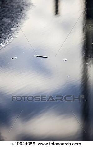 Reflection of sky and clouds in puddle View Large Photo Image Stock Photography - Reflection of sky and clouds in puddle. Fotosearch