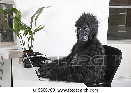 Side view of young man in gorilla costume using laptop at office View Large Photo Image Stock Image - Side view of young man in gorilla costume using laptop at office. Fotosearch